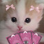 Chepuha