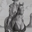The Lone Rider