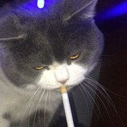 -SMOKIEEE- - steam id 76561199051228454