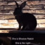 Shadow_Rabbit