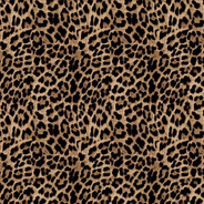 katslater