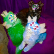 𝑻𝒖𝑮𝒖𝑵𝒂𝑿-♡