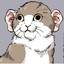 ушки с котиком's avatar