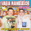 Vara Manelelor 2005