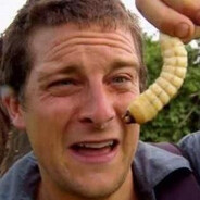 国服不挑食野王