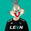 Elderly rabbit
