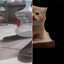 Подхлебник