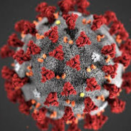 el CORONAVIRUS