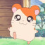 Hamtaro!