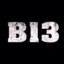 B13_1