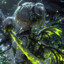 Позывной:Vikos