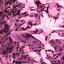 Bit_Rot