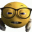Klopsii