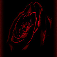 PhantomRose