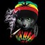 Rasta Cat