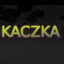 PLATO ESPORTS| Kaczka133
