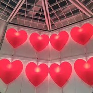 是油条啊啊啊啊啊