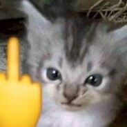 闺蜜老公的车好大