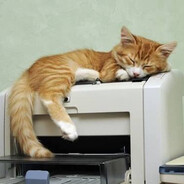Copycat