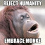Embrace Monke