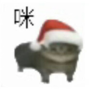 爱偷咖喱的加菲猫