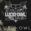LucidOwl