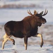BriediS - steam id 76561198074731749
