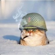 Comanche - steam id 76561198101901685