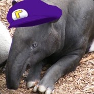 WALUIGI