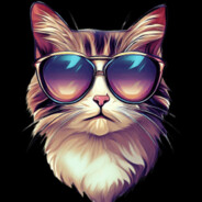 cool cat with shades