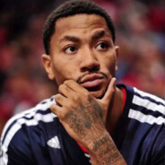 偏我来时不逢春