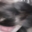 dofi? 1337