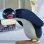 Pingu