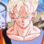 Gohan sin futuro