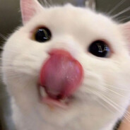 ♥L i t t l e D e a t h♥