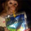 gussy2012