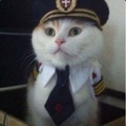 Captain Meow
