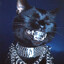 Pusswaffe