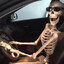 organ harvesting driveby