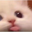 tzop