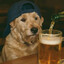 Cachorro de botecoღ