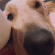 智力正常，会补枪，饿了会捡地上小电吃