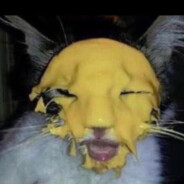 SmokeCheeseCat