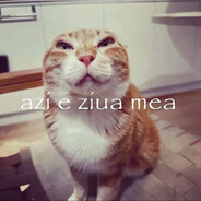 zenny