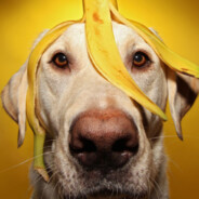 сыс какой-то