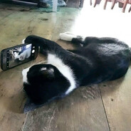 口渴就喝水干嘛掰我腿