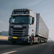 不爱吃香菜！！