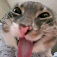 zimba