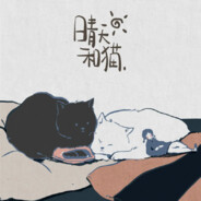 晴天与猫