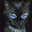 NightCat
